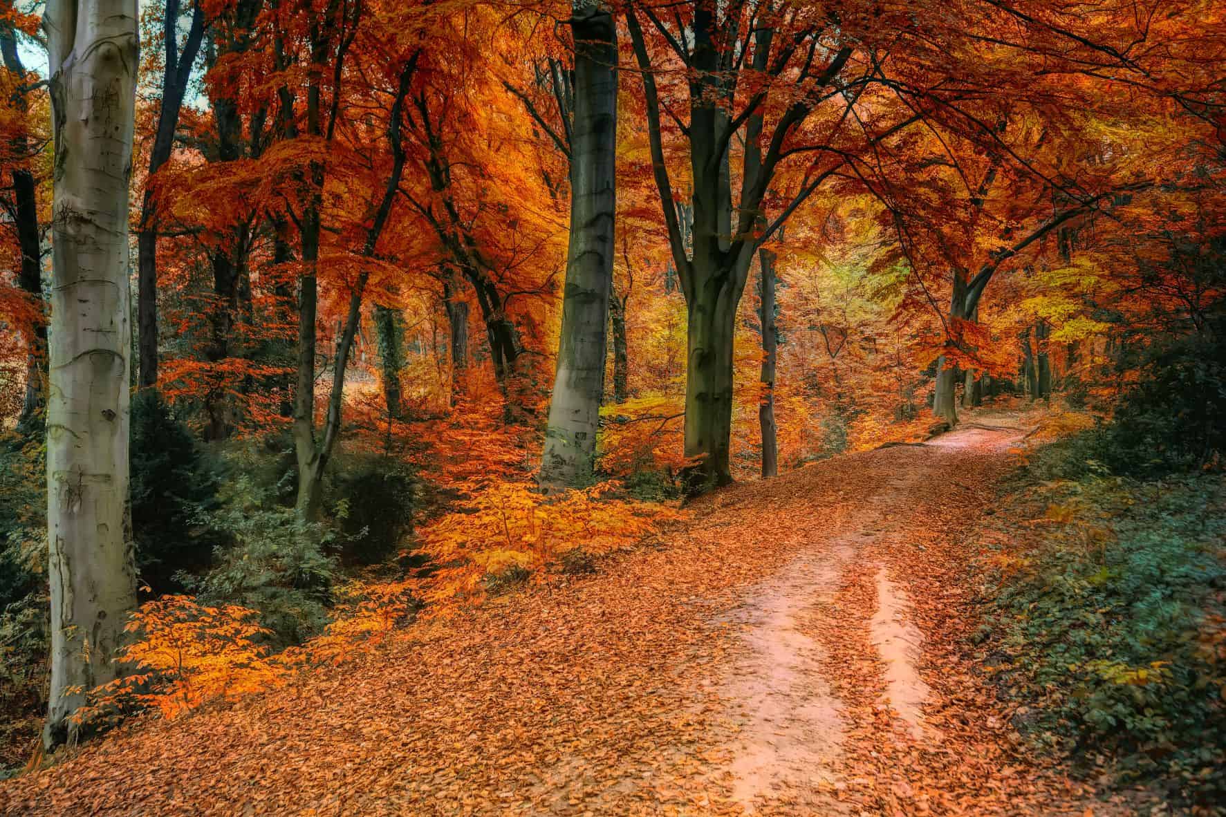 autum-statement-2022-clear-vision